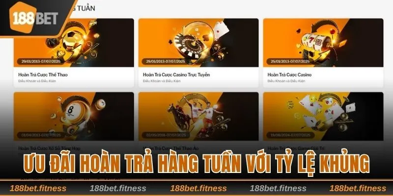 Ưu đãi hoàn trả hàng tuần với tỷ lệ khủng